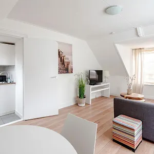 Zandkorrel Zandvoort